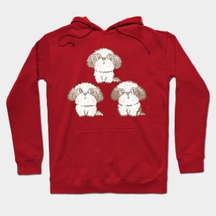 Three Shih Tzu Hoodie